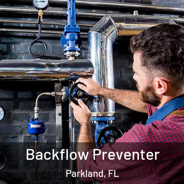  Backflow Preventer Parkland, FL