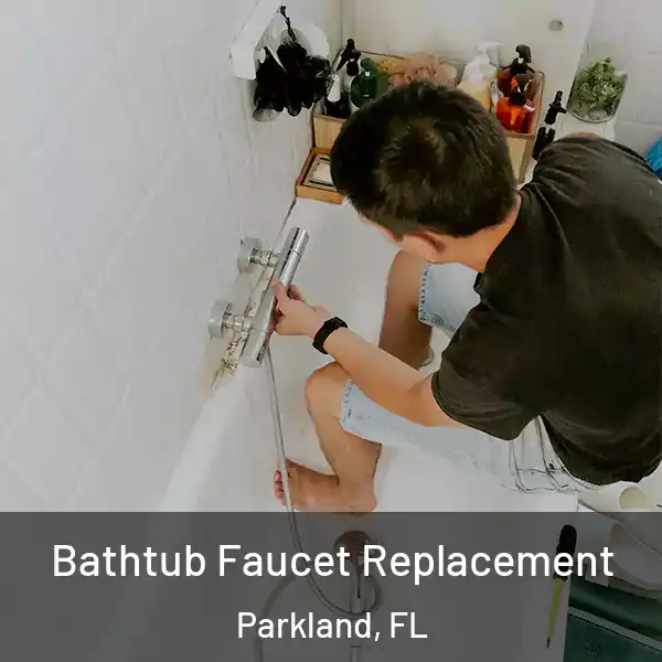  Bathtub Faucet Replacement Parkland, FL