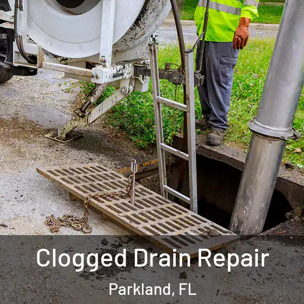  Clogged Drain Repair Parkland, FL