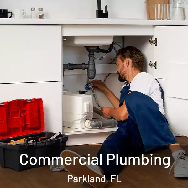  Commercial Plumbing Parkland, FL