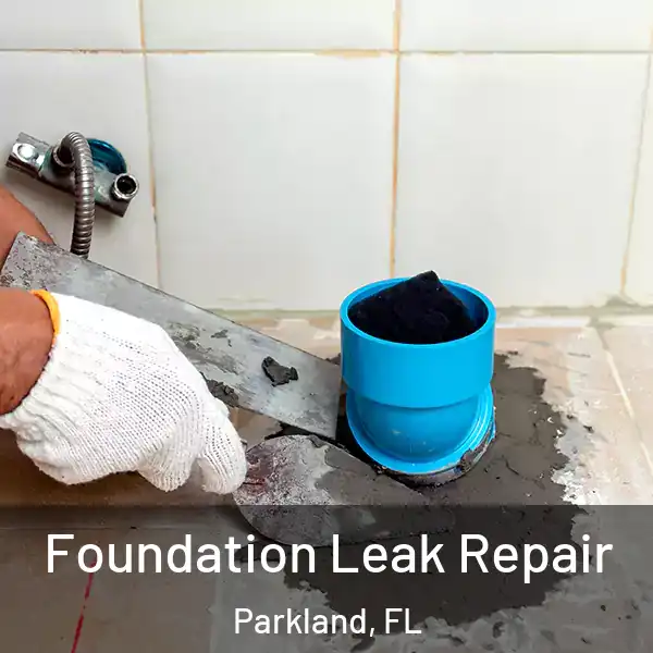  Foundation Leak Repair Parkland, FL
