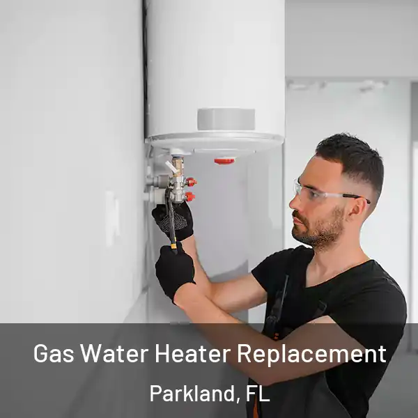  Gas Water Heater Replacement Parkland, FL