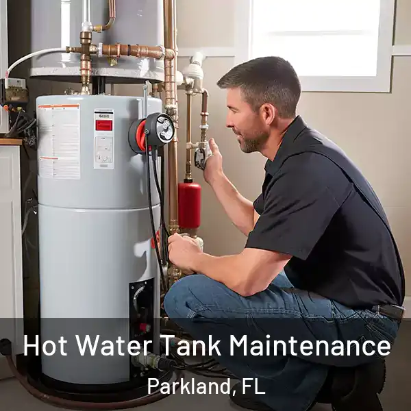  Hot Water Tank Maintenance Parkland, FL