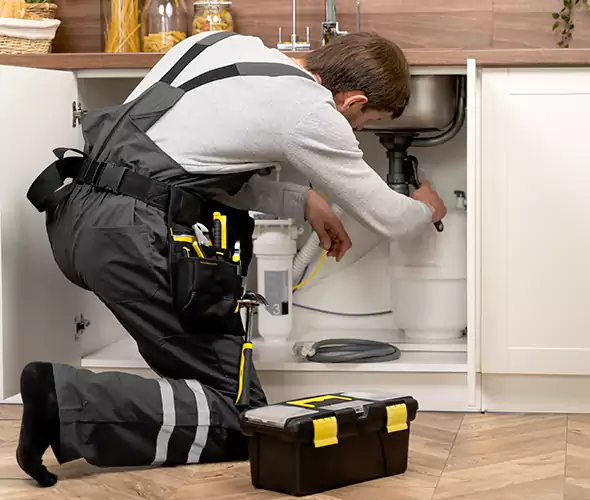 Certified Plumbers for Insinkerator Installation in Parkland