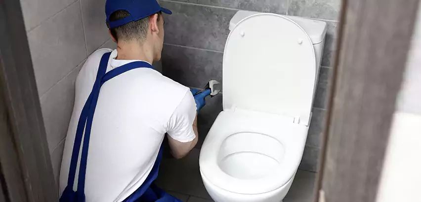 Toilet Lid Replacement in Parkland