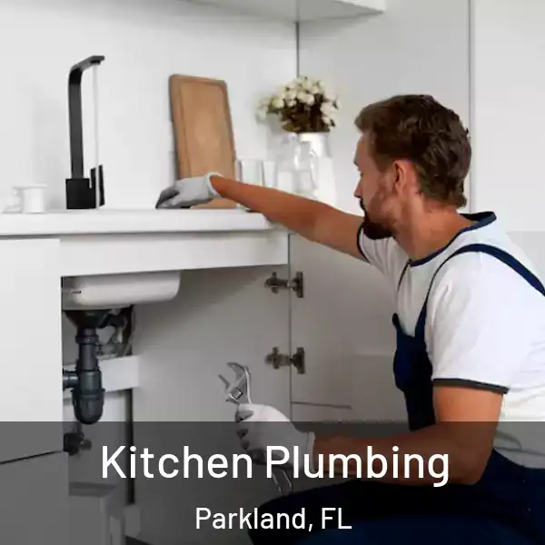  Kitchen Plumbing Parkland, FL