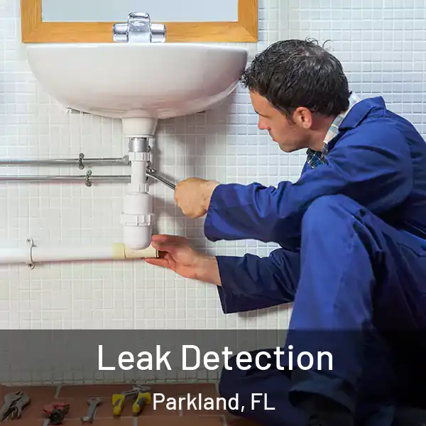  Leak Detection Parkland, FL
