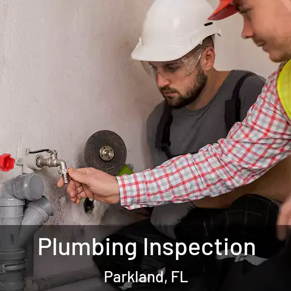  Plumbing Inspection Parkland, FL
