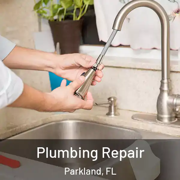  Plumbing Repair Parkland, FL