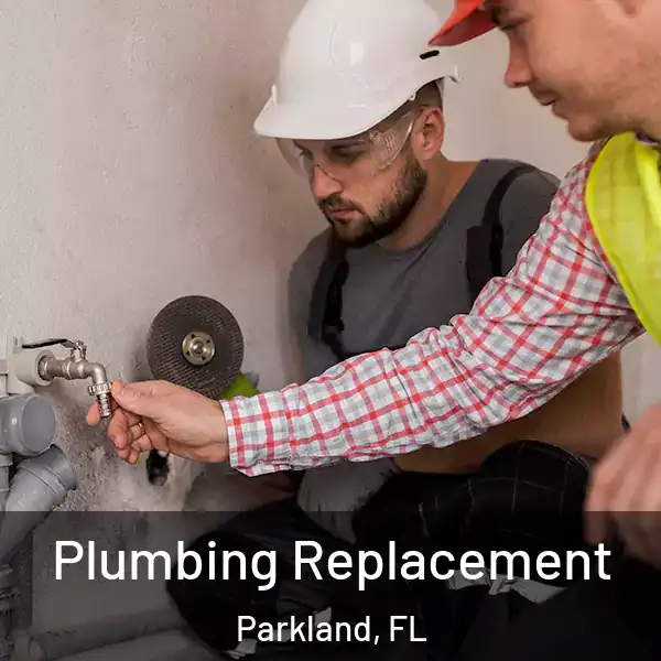  Plumbing Replacement Parkland, FL