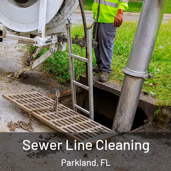  Sewer Line Cleaning Parkland, FL
