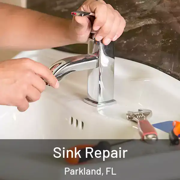  Sink Repair Parkland, FL