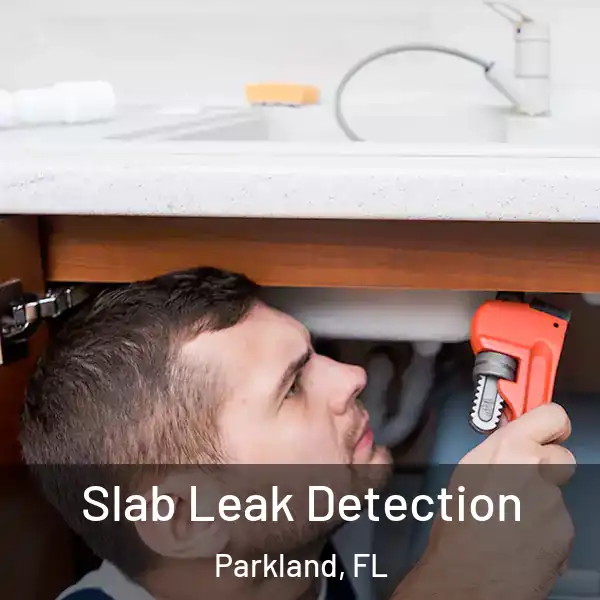  Slab Leak Detection Parkland, FL
