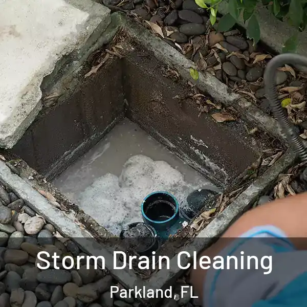 Storm Drain Cleaning Parkland, FL