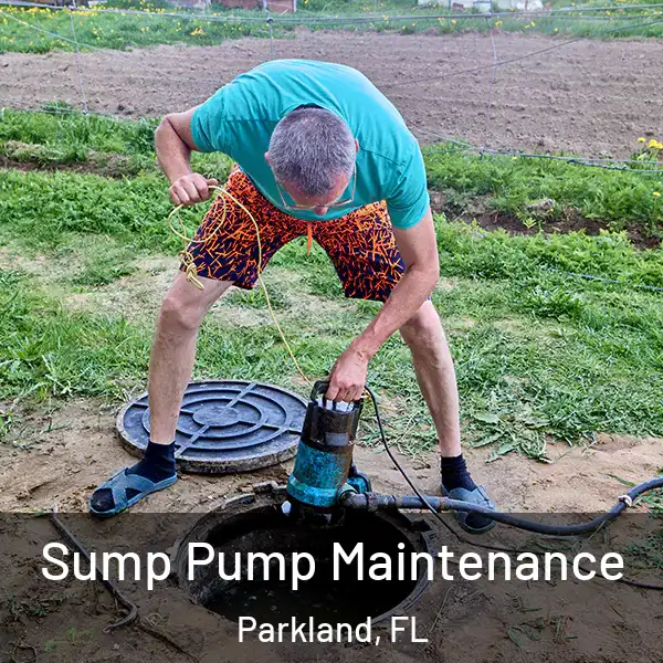  Sump Pump Maintenance Parkland, FL