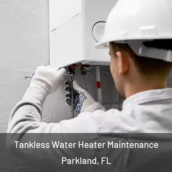  Tankless Water Heater Maintenance Parkland, FL