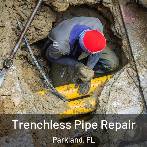  Trenchless Pipe Repair Parkland, FL