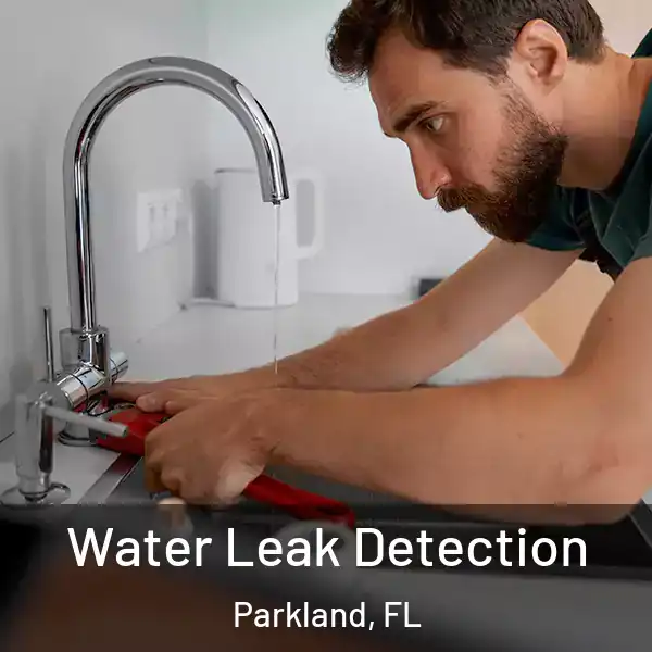  Water Leak Detection Parkland, FL