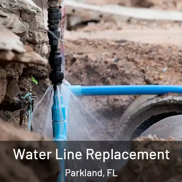  Water Line Replacement Parkland, FL