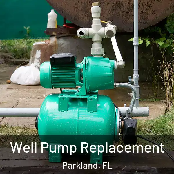  Well Pump Replacement Parkland, FL